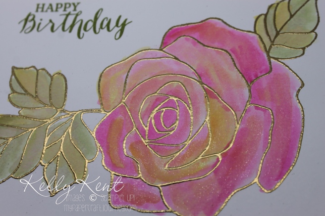 Two-Tone Watercolouring. Rose Wonder stamp set & gold embossing. Kelly Kent - mypapercraftjourney.com.
