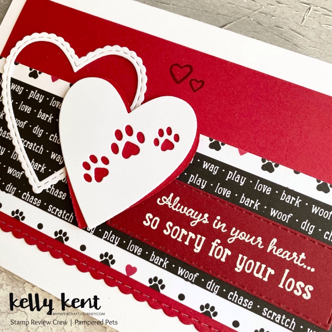 Pampered Pets | kelly kent